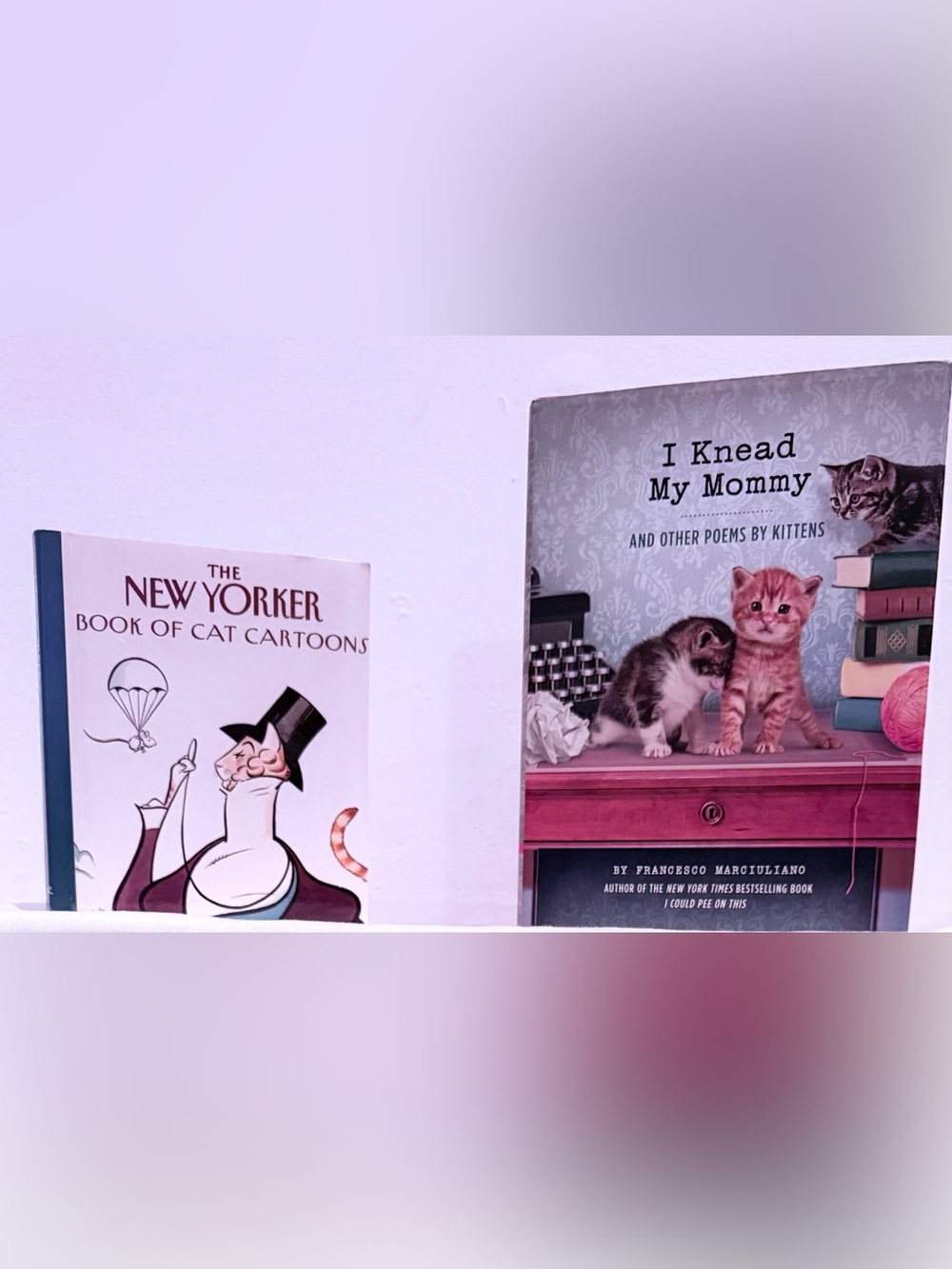 Cat Lover Book Bundle – Humor + Cartoons + Cute
